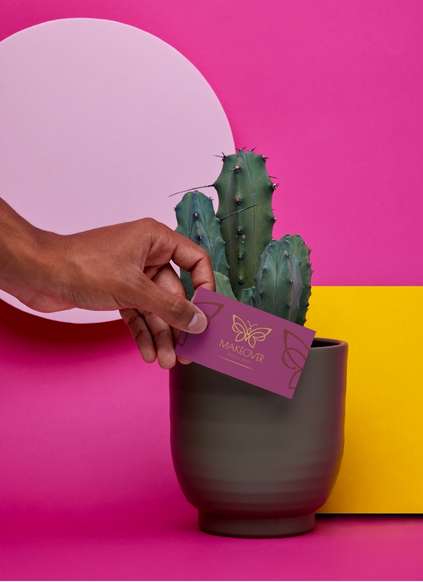 ELEVATE YOUR BRAND